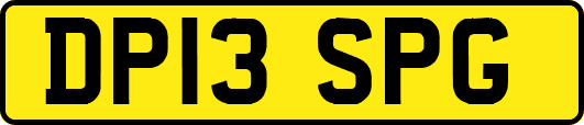 DP13SPG
