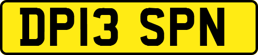 DP13SPN