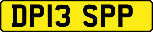 DP13SPP
