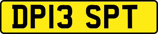 DP13SPT