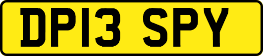 DP13SPY