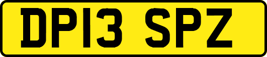 DP13SPZ