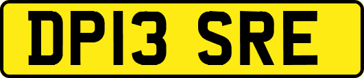 DP13SRE