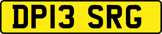DP13SRG