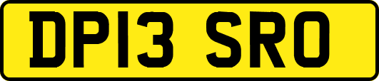 DP13SRO