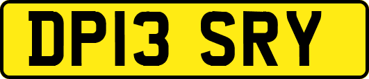 DP13SRY