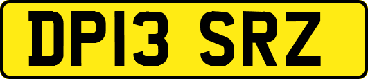 DP13SRZ