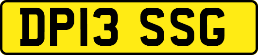 DP13SSG