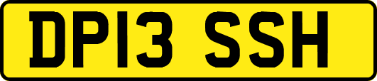 DP13SSH