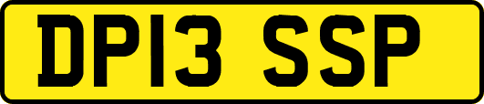 DP13SSP