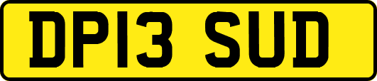 DP13SUD