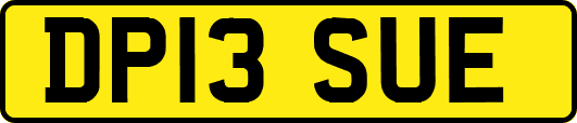 DP13SUE