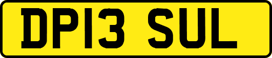DP13SUL
