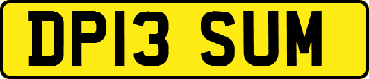 DP13SUM