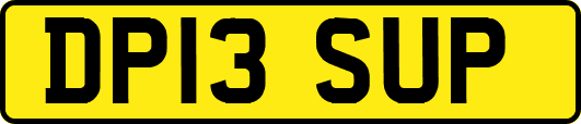 DP13SUP
