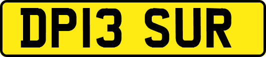 DP13SUR