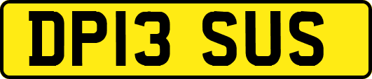 DP13SUS