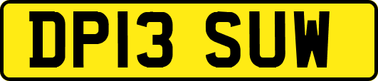 DP13SUW
