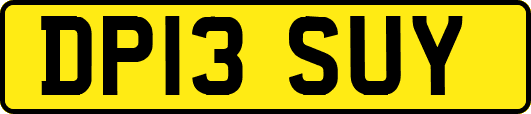 DP13SUY