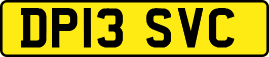 DP13SVC