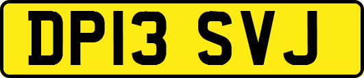DP13SVJ
