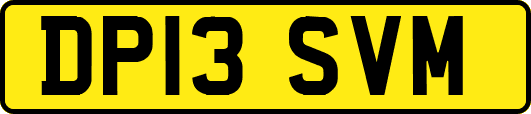 DP13SVM