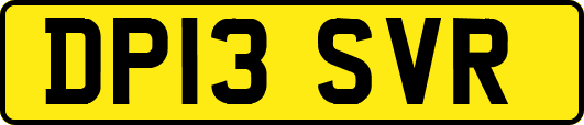 DP13SVR