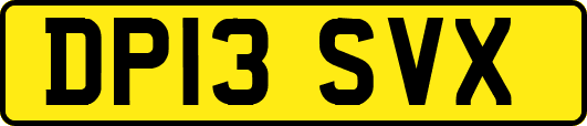 DP13SVX
