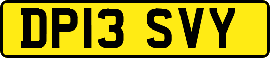 DP13SVY
