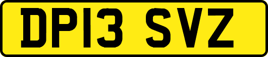 DP13SVZ