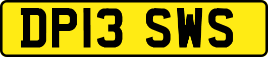 DP13SWS