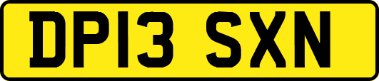 DP13SXN