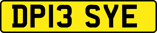 DP13SYE