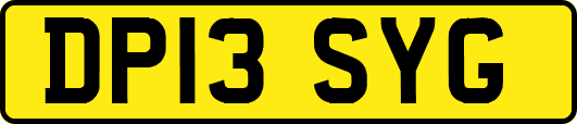 DP13SYG