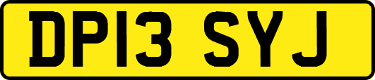 DP13SYJ
