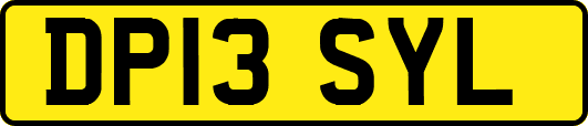 DP13SYL
