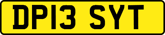 DP13SYT