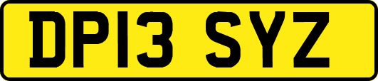 DP13SYZ