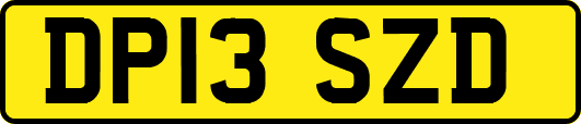 DP13SZD