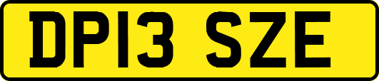 DP13SZE