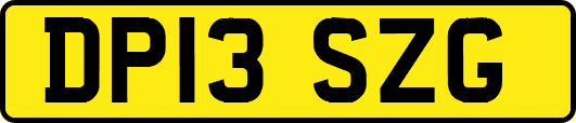 DP13SZG