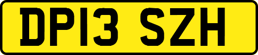 DP13SZH