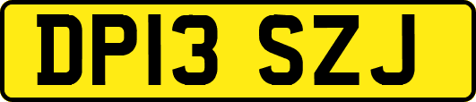 DP13SZJ