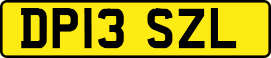 DP13SZL