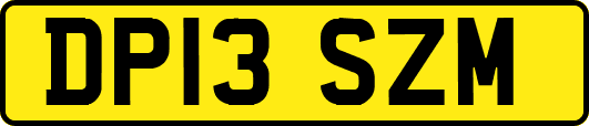 DP13SZM