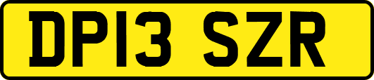 DP13SZR