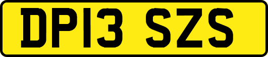 DP13SZS