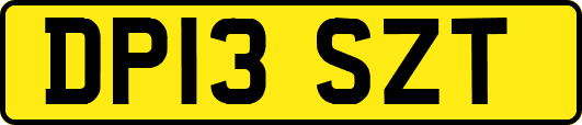 DP13SZT