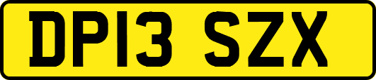 DP13SZX