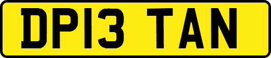 DP13TAN